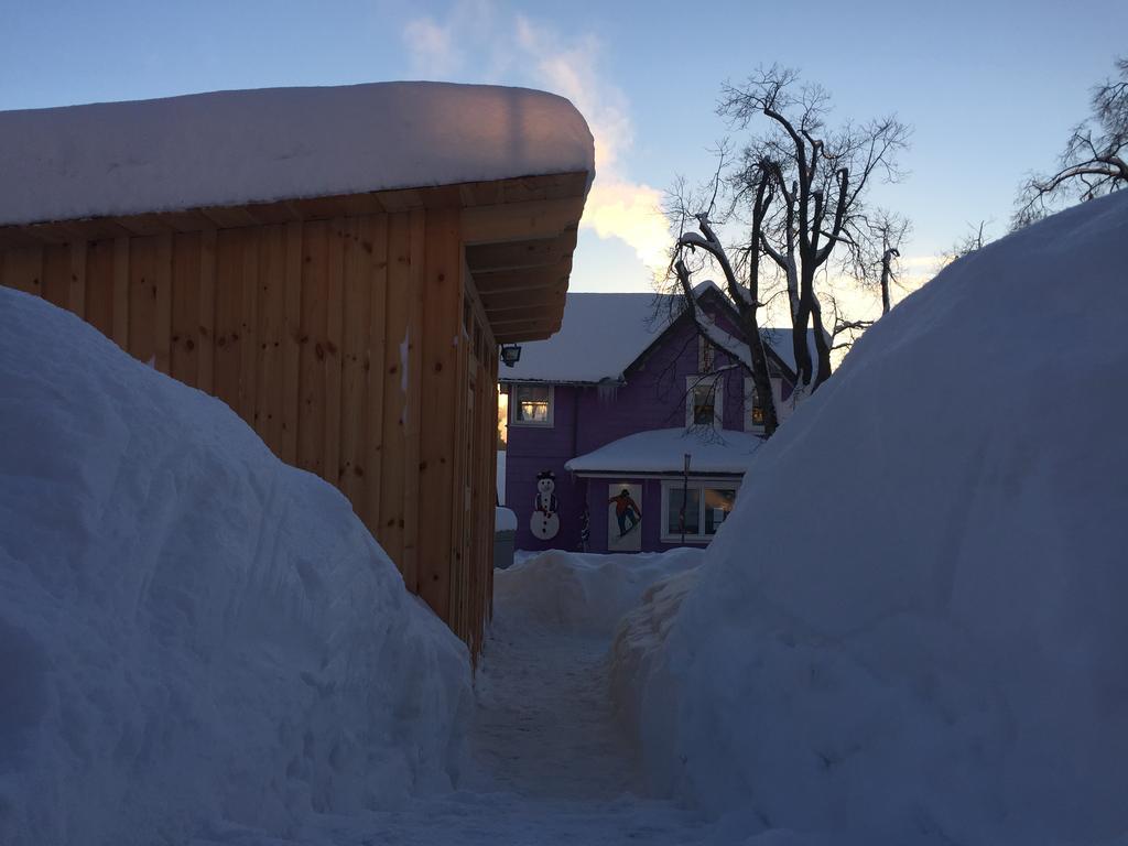 Blockhaus An Der Skiwiese Braunlage Ngoại thất bức ảnh