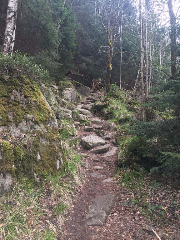 Blockhaus An Der Skiwiese Braunlage Ngoại thất bức ảnh